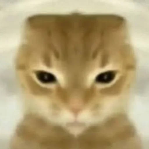 1133